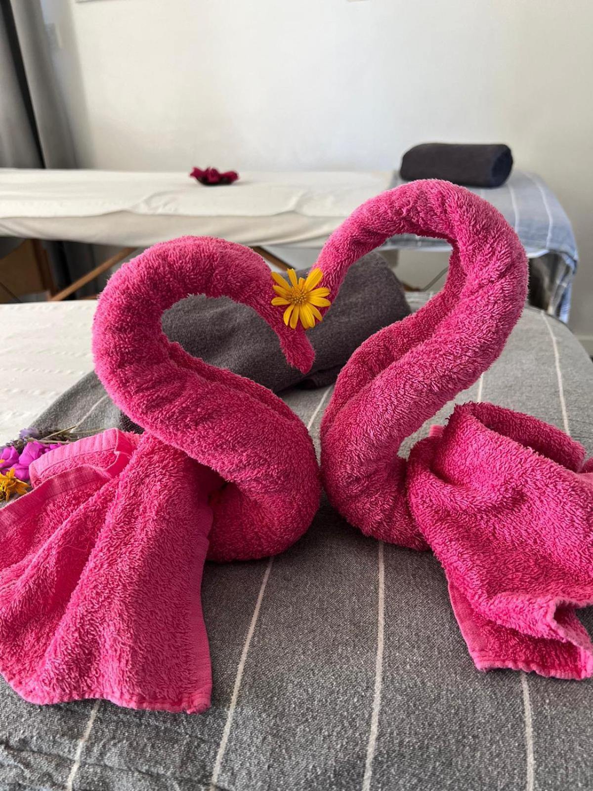"L Eden Enchante" Chambres D'Hotes Et Spa Cote Basque Boucau Kültér fotó
